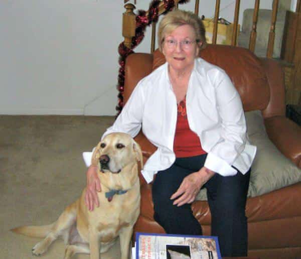Rosie-yellow-labrador-retriever-15-year-old cancer survivor