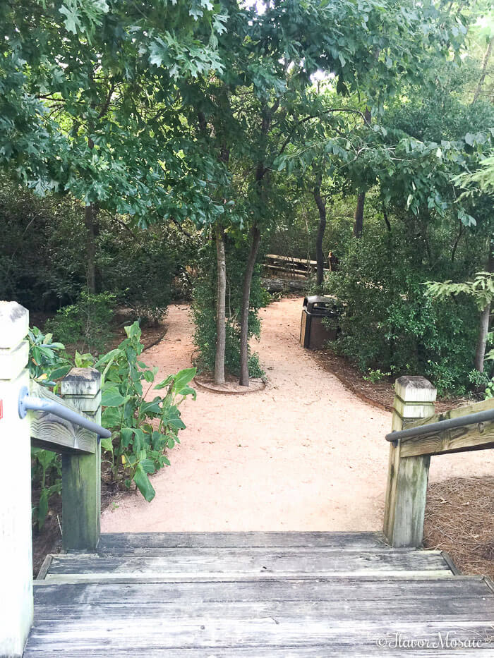 Houston Food Guide - Parks and Walking Trails - The Woodlands Texas