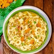Instant Pot Chicken noodle soup