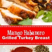 Mango Habanero Grilled Turkey Breast Long Pin