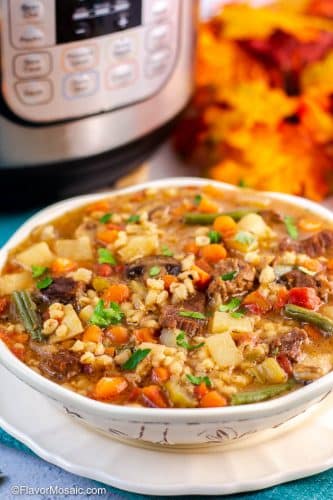 White Soup Bowl on white plate with Instant Pot Beef And Barley Soup with partial view of Instant Pot and fall colored leaves in the background.