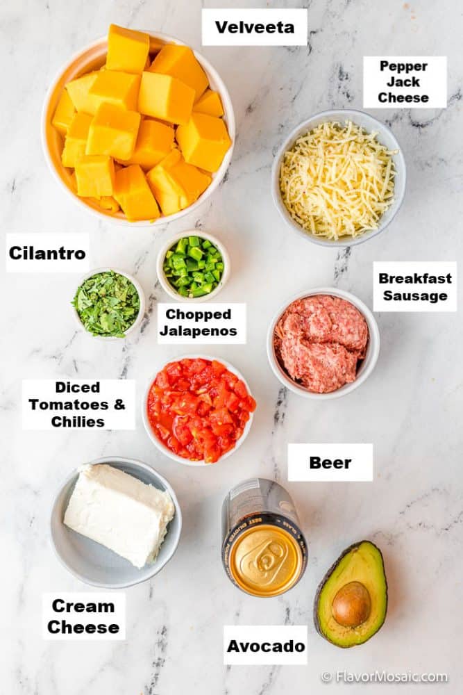 Overhead view of Queso Recipe Labeled Ingredients Photo-3