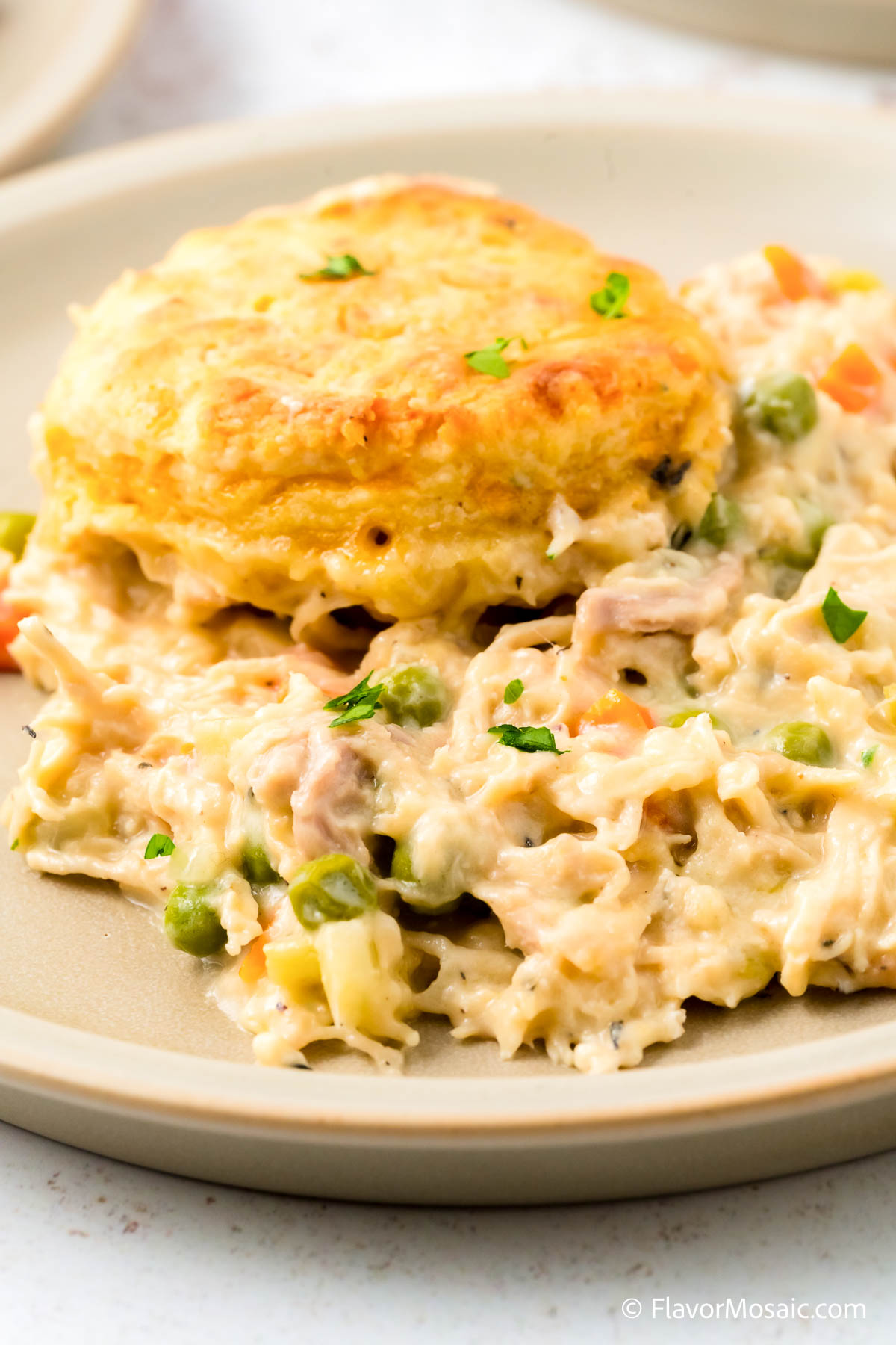 A serving of creamed chicken and biscuit casserole with the biscuit sitting on top of the creamed chicken filling on a white plate.
